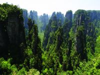 Ԭ�ҽ��L(f��ng)��