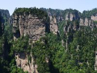 Ԭ�ҽ��L(f��ng)��