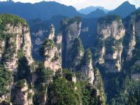 Ԭ�ҽ��L(f��ng)��