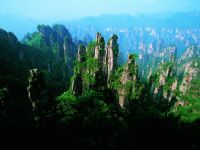 ����ɽ�L(f��ng)��