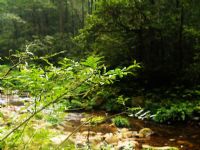 ���Ϫ�L(f��ng)��