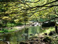 ���Ϫ�L(f��ng)��